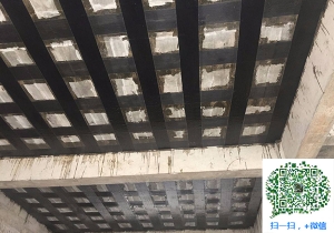 苍梧厂房碳纤维加固